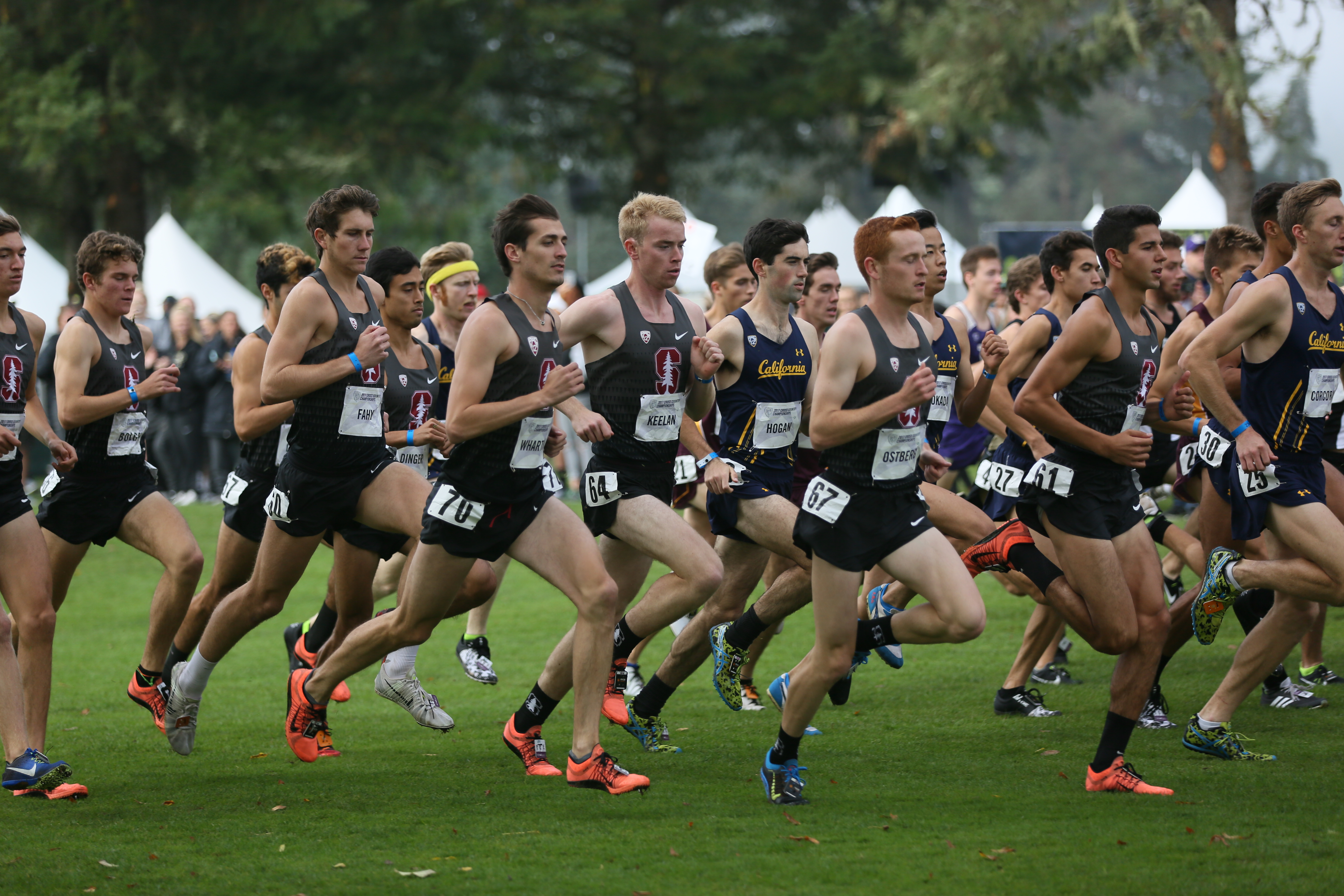 cross country